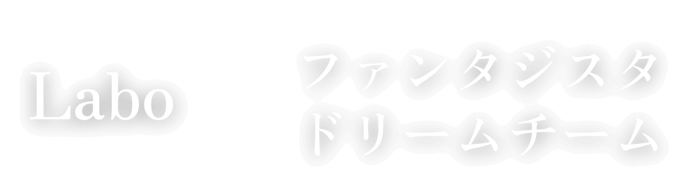 Labo×ファンタジスタドリームチーム｜いえまち博 平屋専用団地